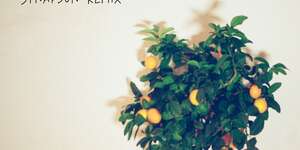 The Way It Is (Synapson Remix)