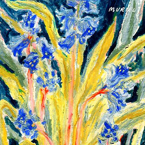 Lavender By The Frames