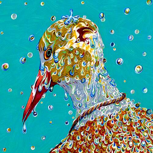 All Seeing All The Time / Morning Ritual