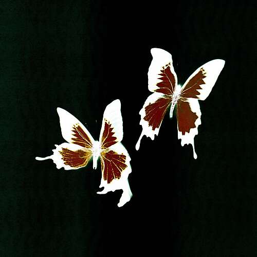 Dream Dancer (M!R!M Remix)