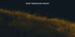 Don't Break My Heart
