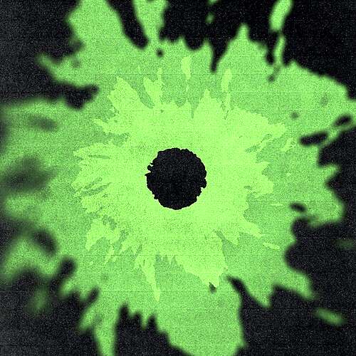 A Gun In Every Home / 001 [Tame The War, Feed The Fire]