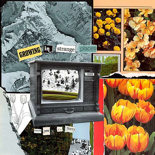 Growing in Strange Places