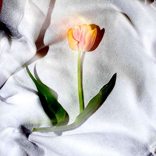 a mistake (feat. Emilie Østebø)