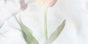 a mistake (feat. Emilie Østebø)