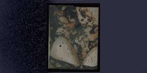 Palmers / King Cobra (Alfa Mist Remix, JSPHYNX Remix)