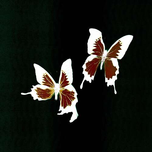 Chimera (FM Skyline Remix)