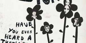 Have You Ever Heard A Turtle Sing?