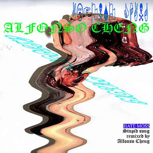 Stupid Song (Alfonso Cheng Remix)