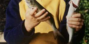 Lightweight (Derwent Lane Version)