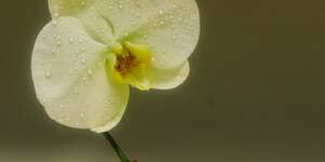 Can't Forget (Acoustic)