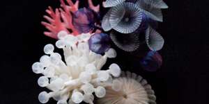 Life In Miniature (Full Extended Edition)