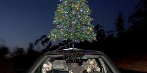 sympathy 4 the grinch