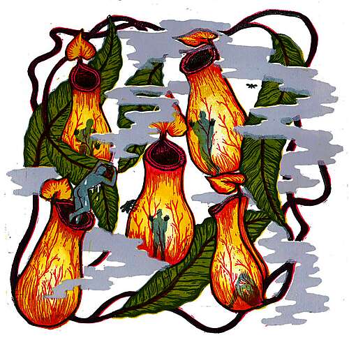 Violence and Stupidity