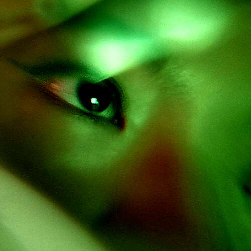 everything to die for