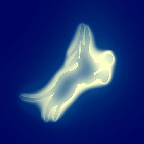 Rare (Ft Carly Rae Jepsen)