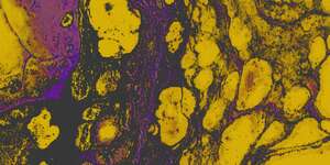 If You Remember The 90's You Weren't There