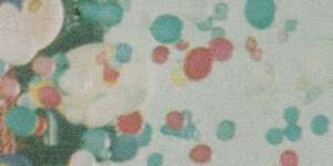 Only Wanna Be With You