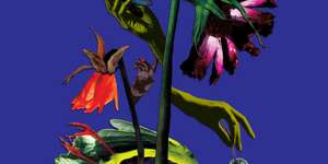 Your Smile is a Hoax