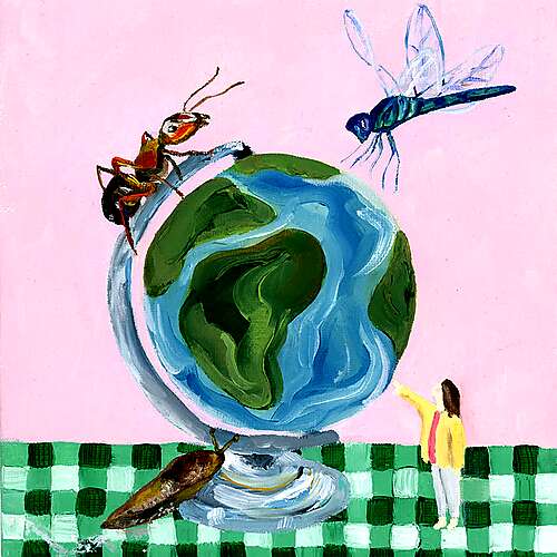 How Do You See The World?