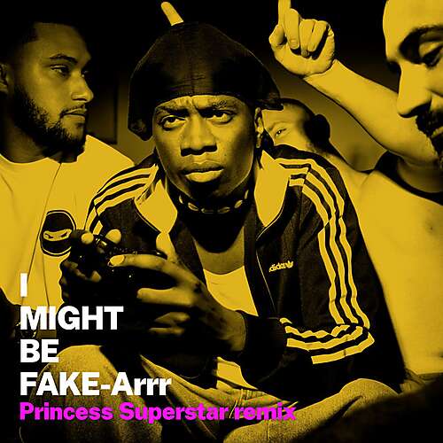 I Might be Fake-Arrr (Princess Superstar Remix)