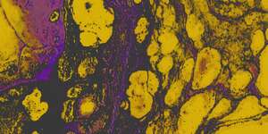 If You Remember The 90's You Weren't There