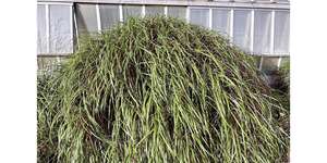 Bass Works: as I Venture Into