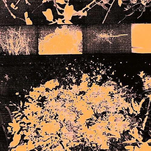 everything, everything