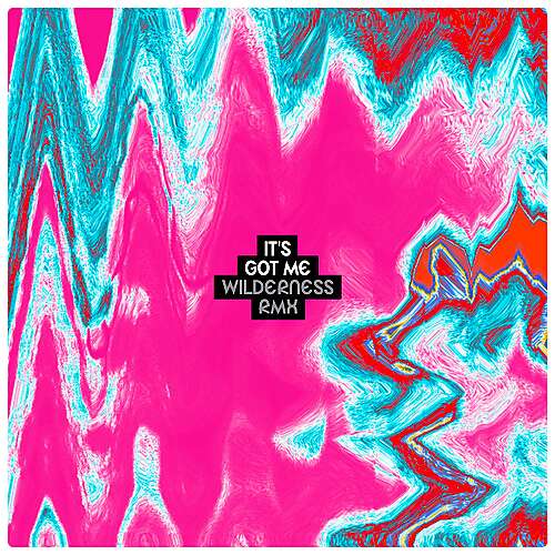 It's Got Me (Wilderness RMX)