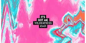 It's Got Me (Wilderness RMX)