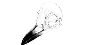 ...buried where you stand