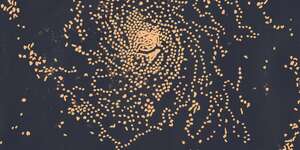 The Girl Who Fell to Earth  (Gaz Coombes cover) 