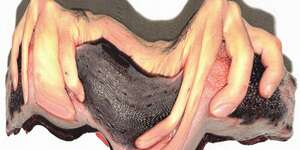 Neve (In a Sleeping Mood Remix)