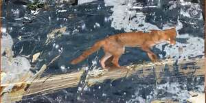 panic (Ft Jemima Coulter)