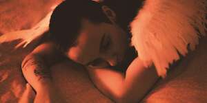 Midnight Butterflies