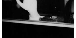 Tapping On The Glass