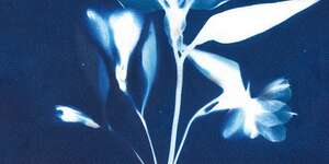 Participation Trophy