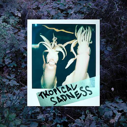 Tropical Sadness