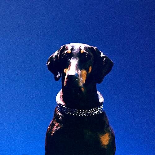 Gem Lingo (ovr now) (Ft Ruthven)