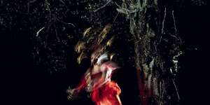 Whispers and Speakings