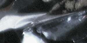 El mar me veía (Ft Mabe Fratti)