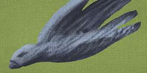 The Ants / Italia '06