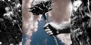 All I Want Is Utopia Now!