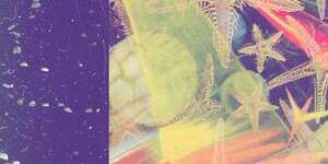 Dark Mystery Enigma Bird