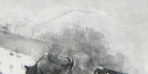 I See Forward and Back