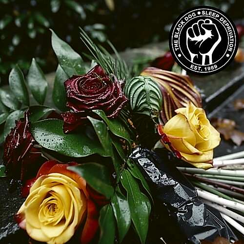 Sleep Deprivation 05: The Slow Cancellation Of The Future