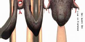 Dei Buoni Dei (Live at Glue, Florence, Italy, 14/02/2023)