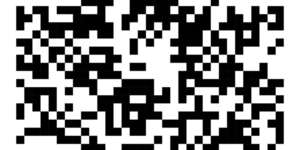 You're Only Young Once But You Can Be Stupid Forever