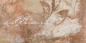 Process of Elimination