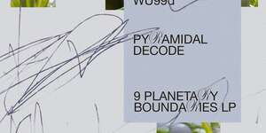 9 Planetary Boundaries